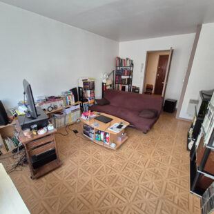 EXCLUSIVITE : T1 bis de 40m² avec cave vendu loué