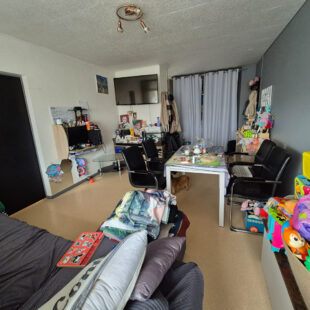 Superbe appartement de 50m² avec de beaux volumes. , 1 chambre et 2 caves !