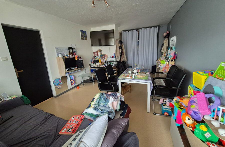 Superbe appartement de 50m² avec de beaux volumes. , 1 chambre et 2 caves !