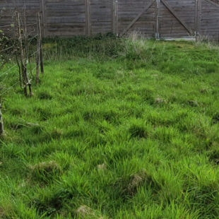 TERRAIN Constructible de 753 m²