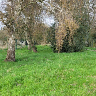 TERRAIN Constructible de 753 m²