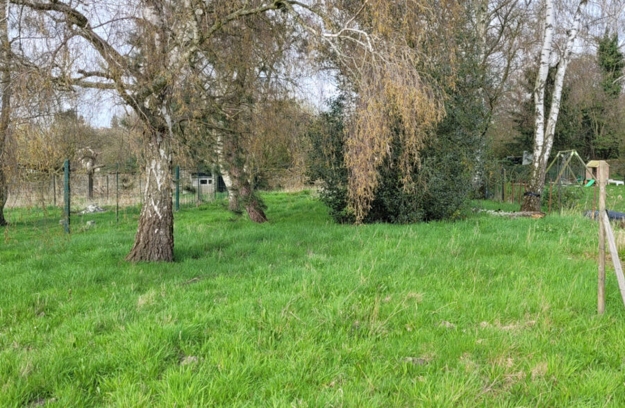 TERRAIN Constructible de 753 m²