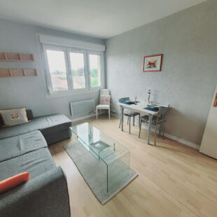Appartement Ronchin 2 pièce(s) 36m²  Sous compromis 