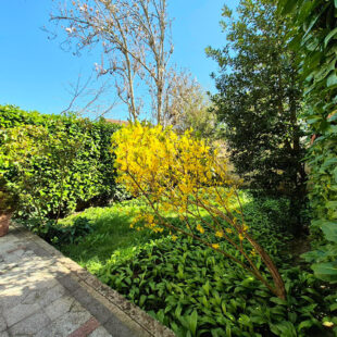 Maison Mons-en-baroeul garage+ jardin