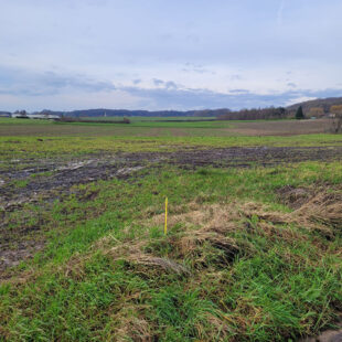 Terrain à bâtir 1138 m2