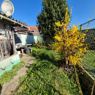 Maison 1930 à rénover