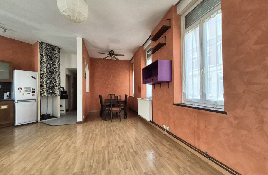 Appartement Lille 3 pièce(s) 52 m2