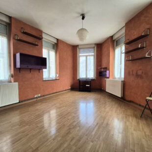 Appartement Lille 3 pièce(s) 52 m2