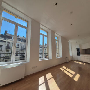 LILLE NATIONALE / HYPERCENTRE : JOLI T2 LUMINEUX – IDEAL ETUDIANT / INVESTISSEUR / PREMIER ACHAT