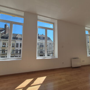LILLE NATIONALE / HYPERCENTRE : JOLI T2 LUMINEUX – IDEAL ETUDIANT / INVESTISSEUR / PREMIER ACHAT