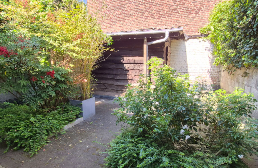 Maison de bâtir avec extérieur