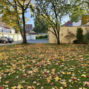 Appartement T3 + garage