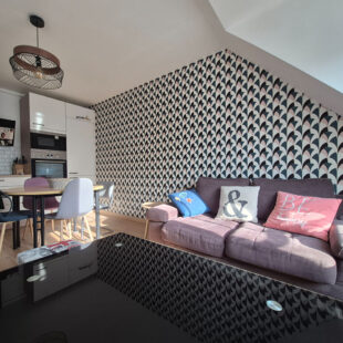VIEUX LILLE – QUARTIER SAINT SEBASTIEN – T1 34 m² / 41m² au sol + cave
