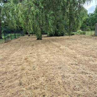 TERRAIN Constructible de 753 m²