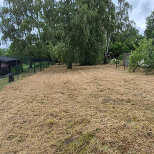 TERRAIN Constructible de 753 m²