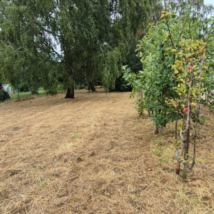 TERRAIN Constructible de 753 m²