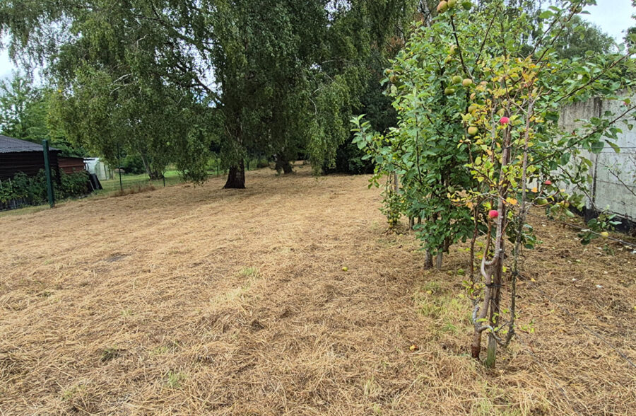 TERRAIN Constructible de 753 m²