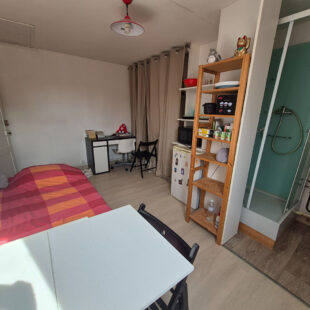 RONCHIN – IMMEUBLE DE RAPPORT OU MAISON FAMILIALE – CENTRE VILLE – JARDIN – 5 CHAMBRES