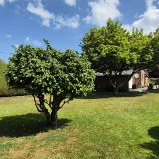 Maison à l’orée de la forêt