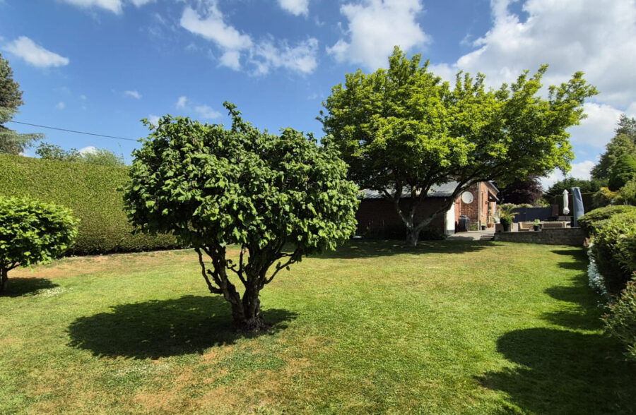 Maison à l’orée de la forêt