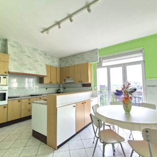 Appartement T5 Marcq-En-Baroeul Croisé Laroche
