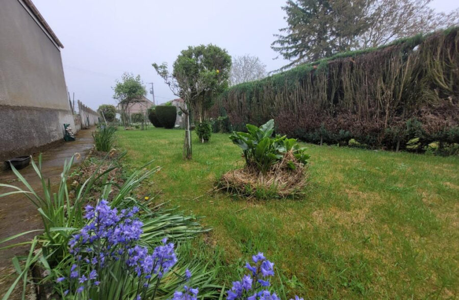 Maison Haillicourt