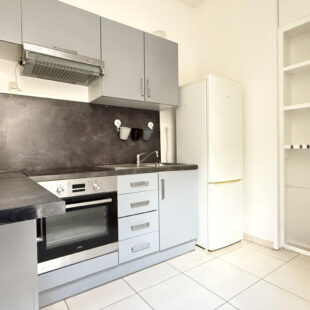EXCLUSIVITE : APPARTEMENT EN DUPLEX AVEC CAVE  PROCHE METRO
