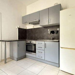 EXCLUSIVITE : APPARTEMENT EN DUPLEX AVEC CAVE  PROCHE METRO