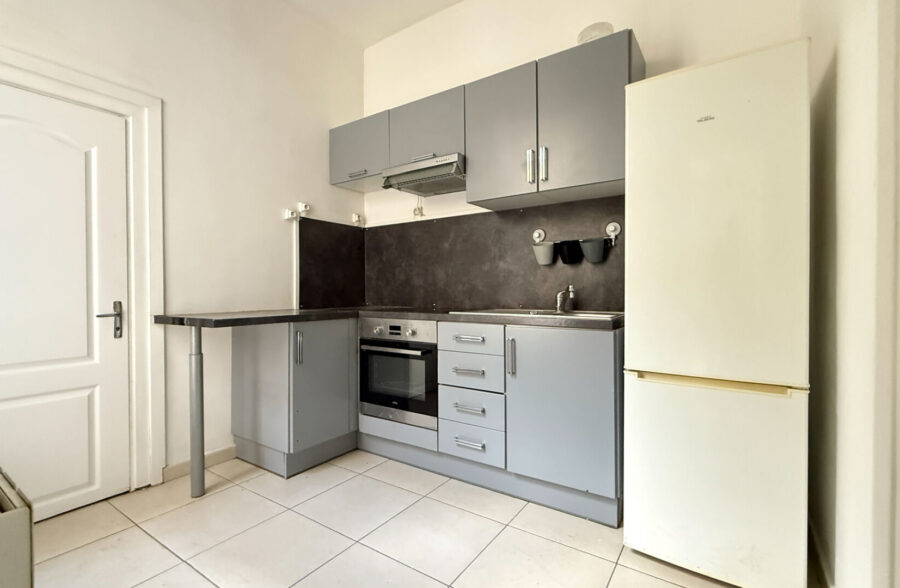 EXCLUSIVITE : APPARTEMENT EN DUPLEX AVEC CAVE  PROCHE METRO