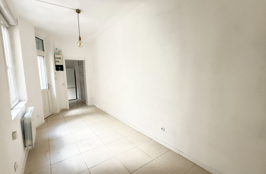 EXCLUSIVITE : APPARTEMENT EN DUPLEX AVEC CAVE  PROCHE METRO