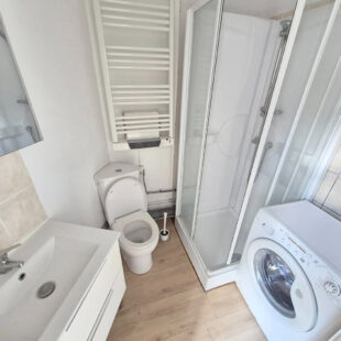 EXCLUSIVITE : APPARTEMENT EN DUPLEX AVEC CAVE  PROCHE METRO