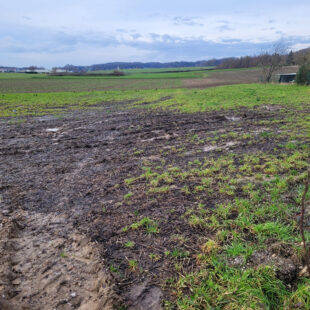 Terrain à bâtir 1138 m2