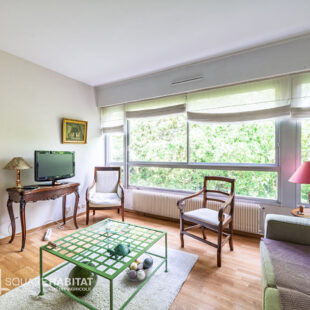 Canon d’Or, appartement T4 avec belle vue en excellent état avec cave et stationnement