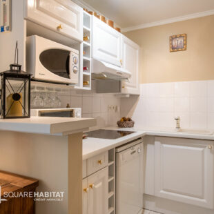 Appartement Sainte Cecile 2 pièce(s) 42 m2