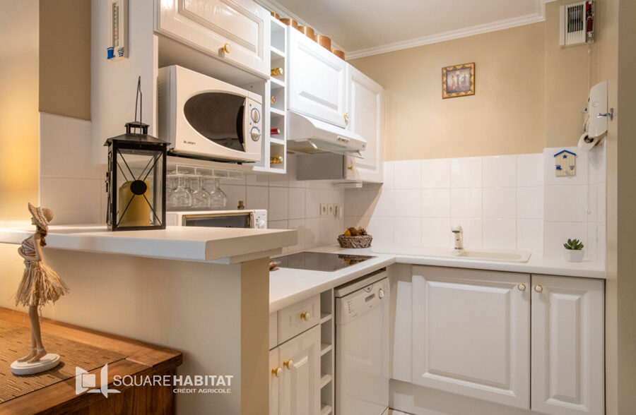 Appartement Sainte Cecile 2 pièce(s) 42 m2