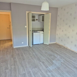 Studio avec balcon  dans le triangle d ‘or !