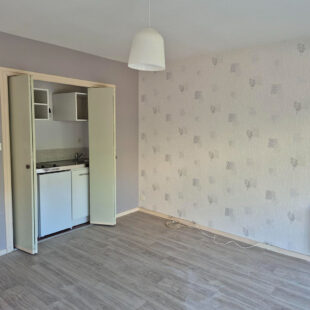 Studio avec balcon  dans le triangle d ‘or !