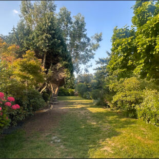 Maison Ronchin semi individuel jardin garage