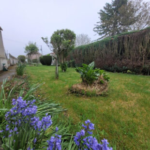 Maison Haillicourt