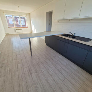 Métro Lomme Bourg : T2 de 44m2 lumineux et rénové