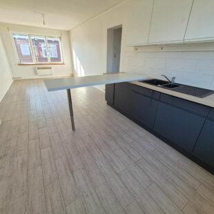 Métro Lomme Bourg : T2 de 44m2 lumineux et rénové