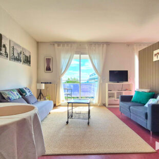 BOTANIQUE PROCHE TRAMWAY APPARTEMENT T1bis AVEC BALCON PARKING ET CAVE