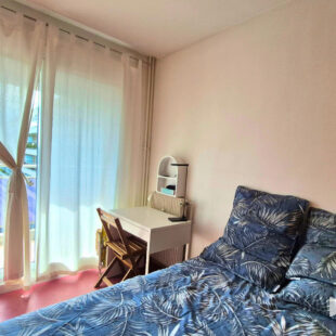 BOTANIQUE PROCHE TRAMWAY APPARTEMENT T1bis AVEC BALCON PARKING ET CAVE