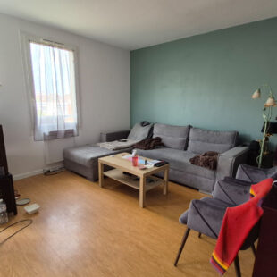 BUISSON TYPE 2 AVEC BALCON PARKING ET CAVE VENDU LOUE