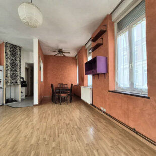 Appartement Lille 3 pièce(s) 52 m2