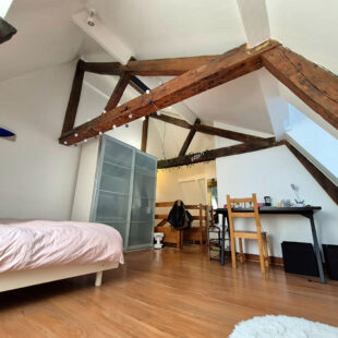 LILLE HYPERCENTRE : SUPERBE T2 LUMINEUX EN DUPLEX AVEC CACHET 40,66M² (47,17M² AU SOL)