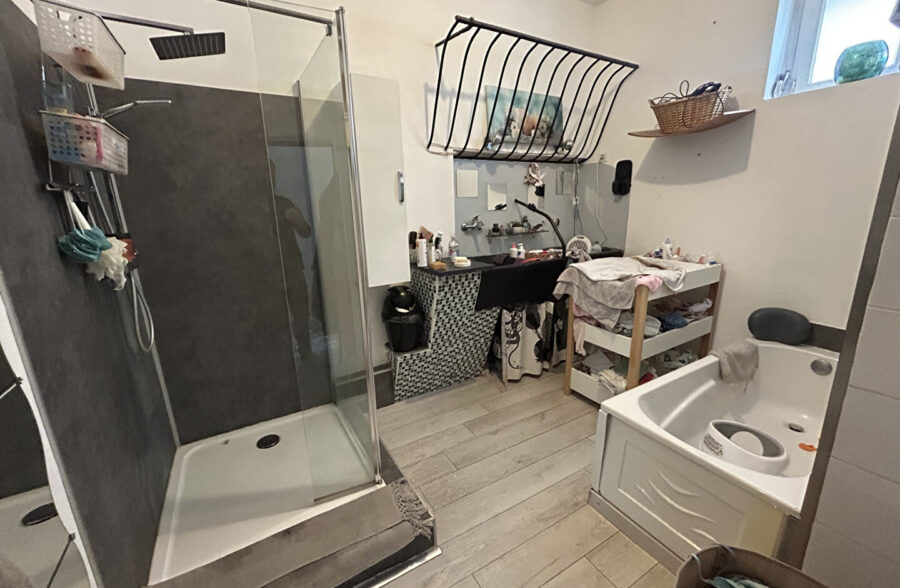 Maison Saint Amand Les Eaux
