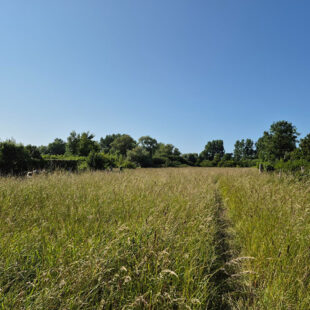 Rang Du Fliers , terrain à bâtir de plus d’1 hectare !!