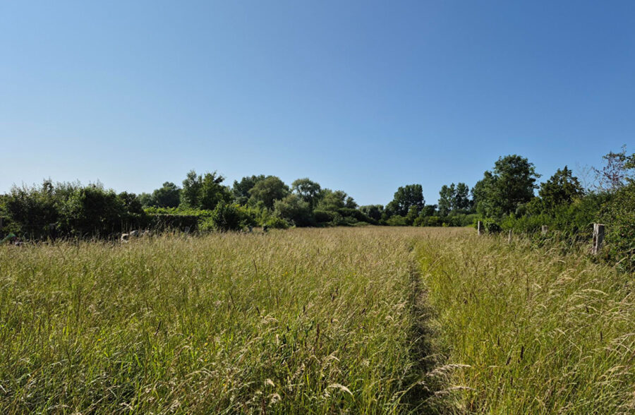 Rang Du Fliers , terrain à bâtir de plus d’1 hectare !!