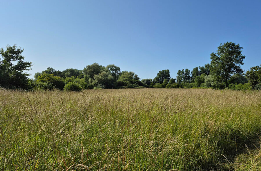 Rang Du Fliers , terrain à bâtir de plus d’1 hectare !!